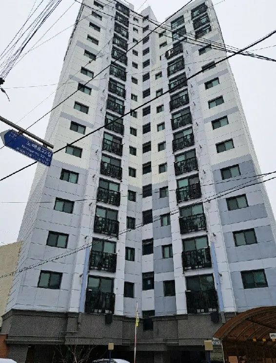사진 2