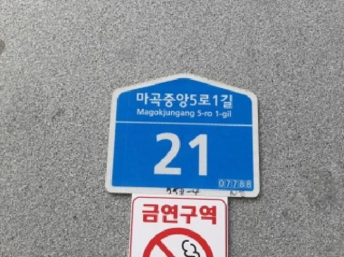사진 9