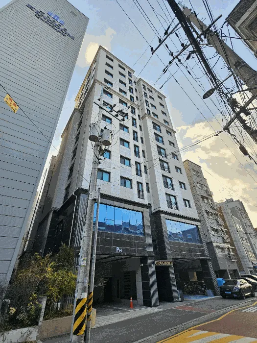 사진 5