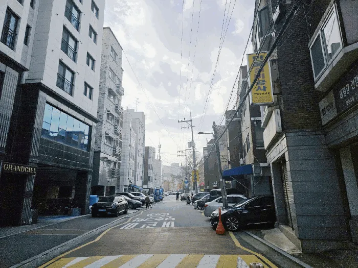 사진 8