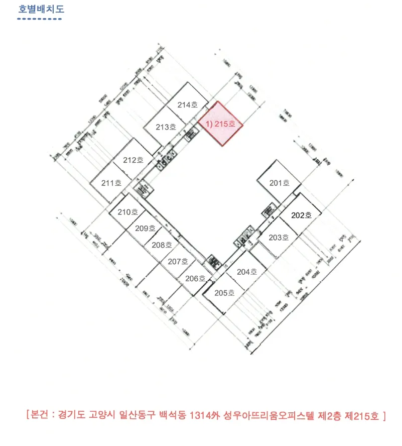사진 10