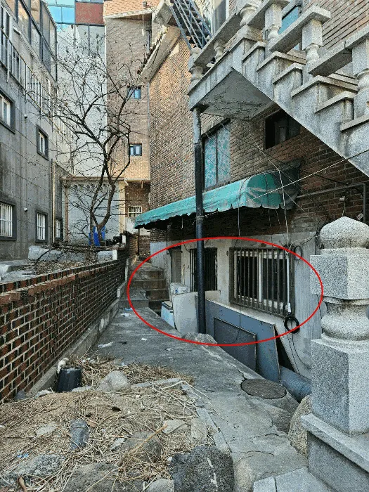 사진 14