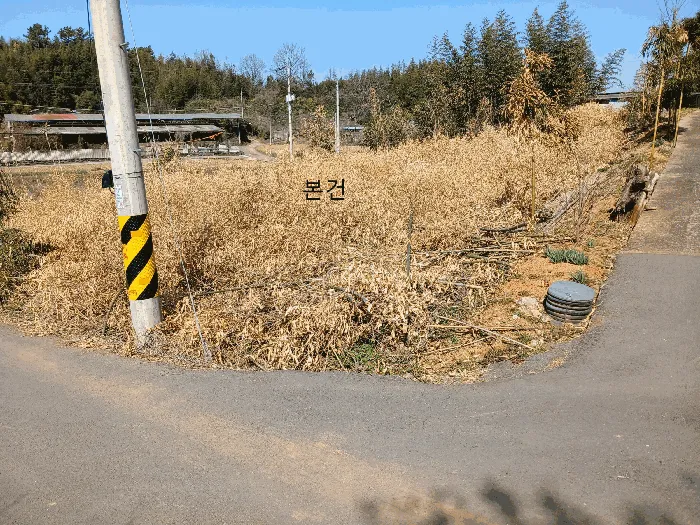 사진 5