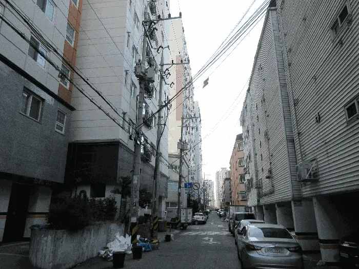 사진 5