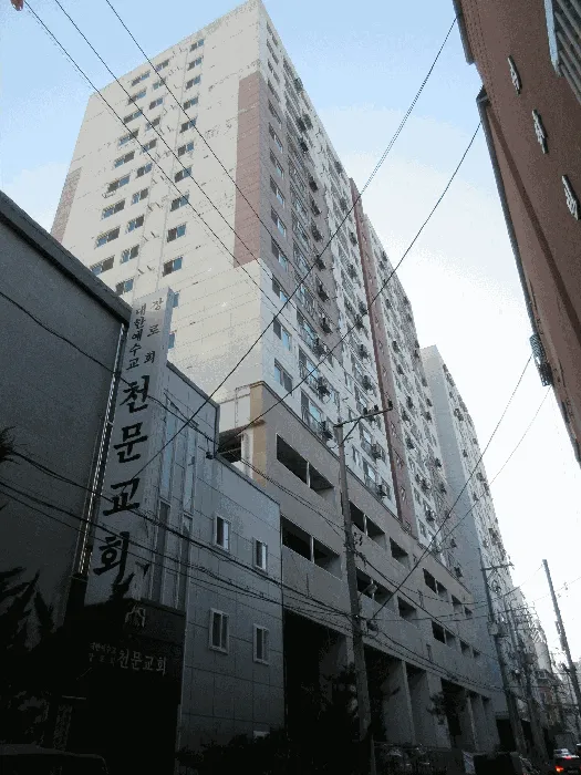 사진 7