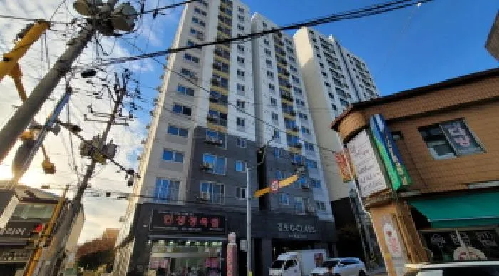 사진 3