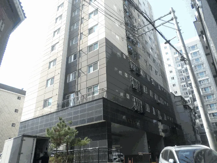 사진 13