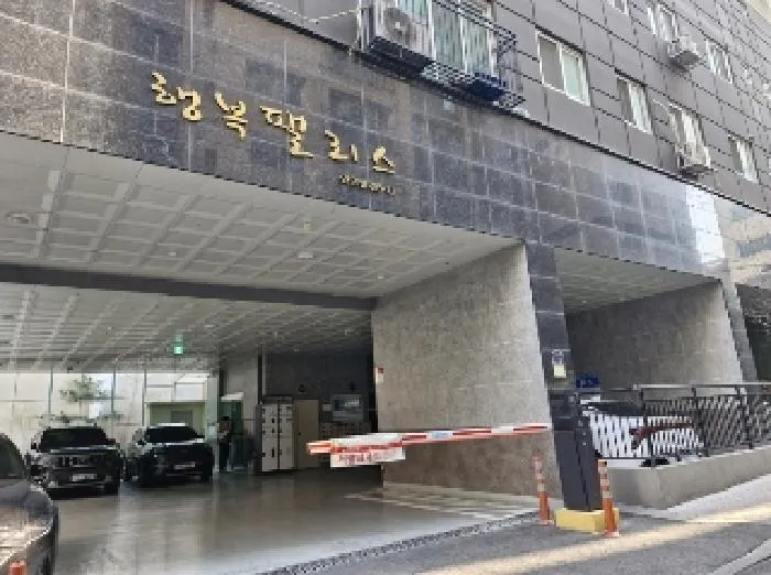 사진 5