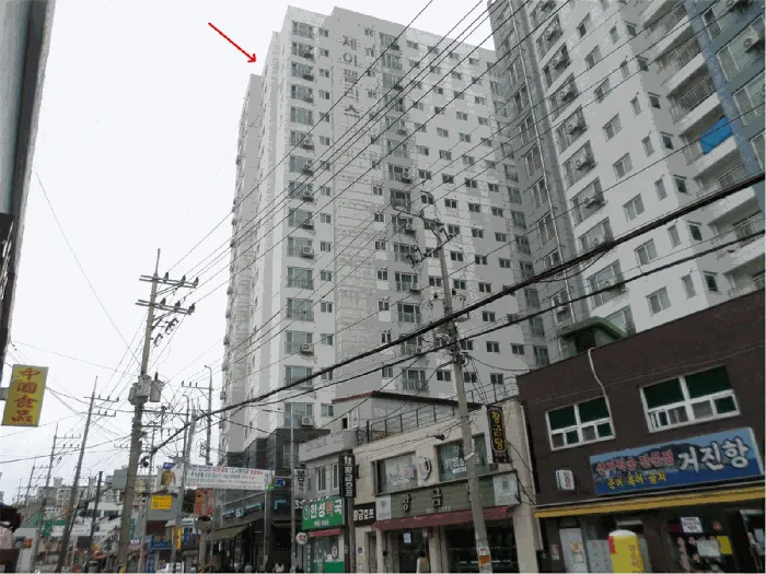 사진 5