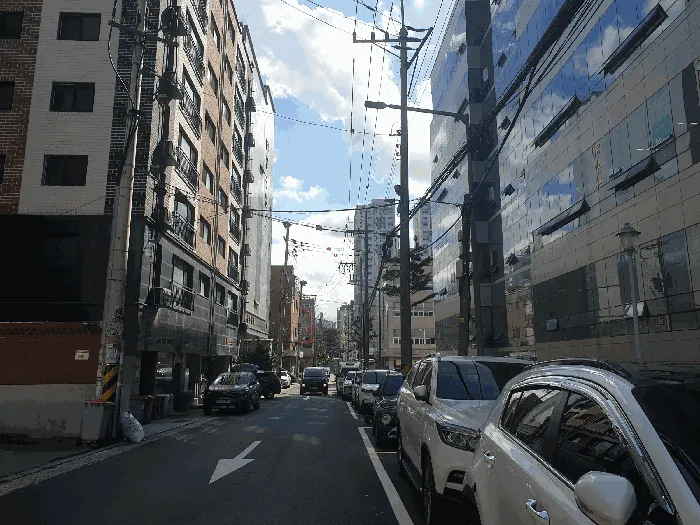 사진 8
