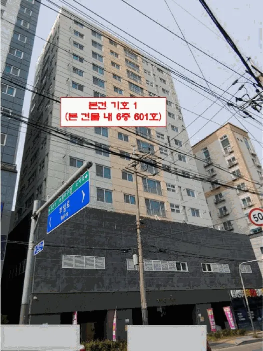 사진 5