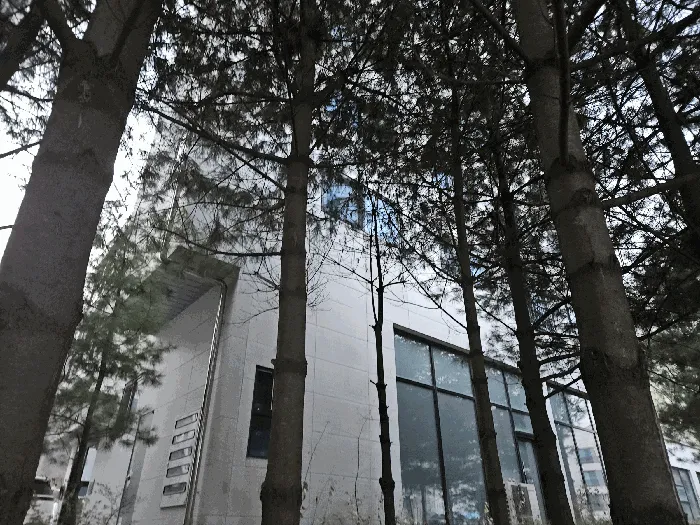 사진 26