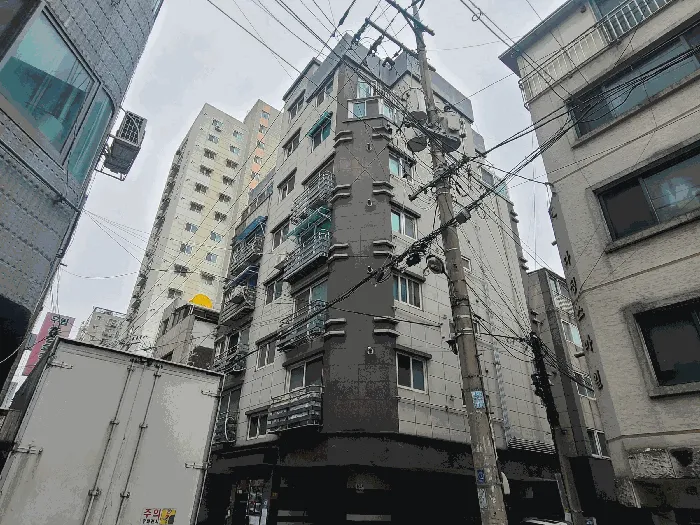 사진 5