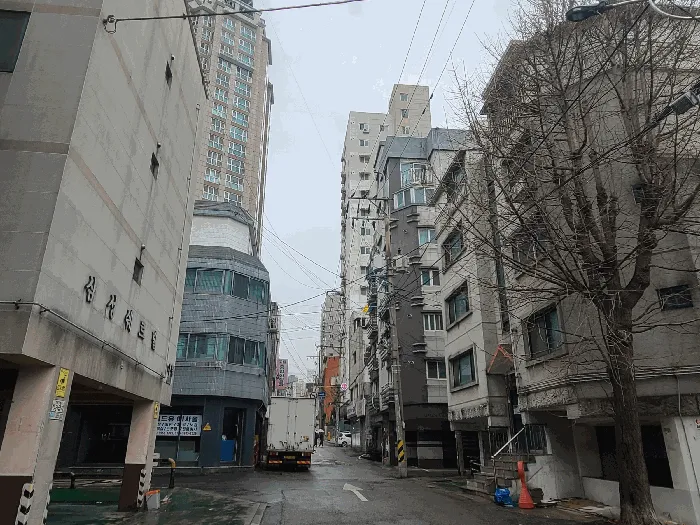 사진 7