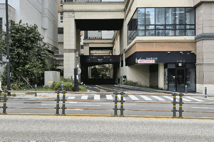 사진 11