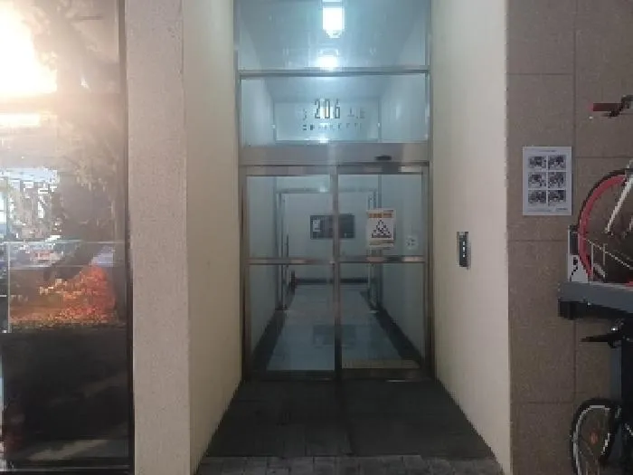 사진 5