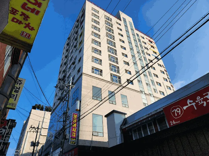사진 9