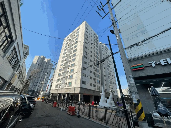 사진 4