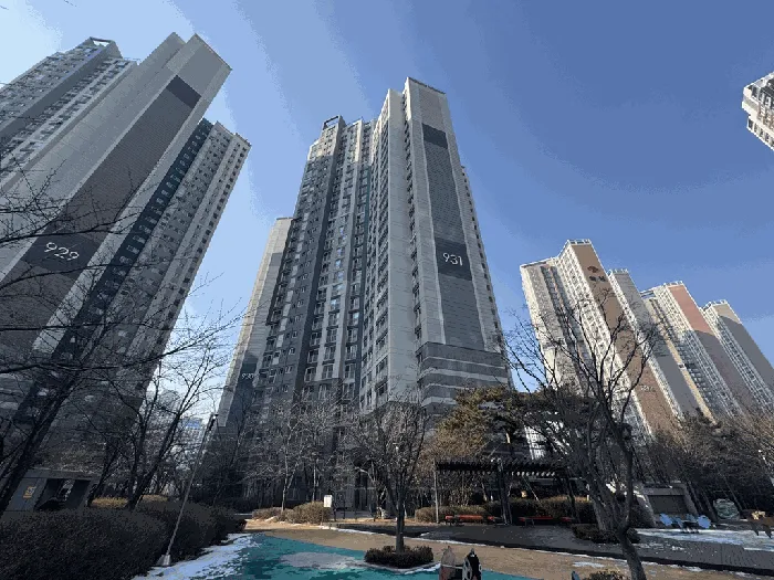 사진 5