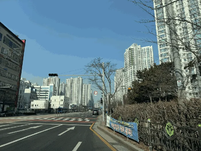 사진 6
