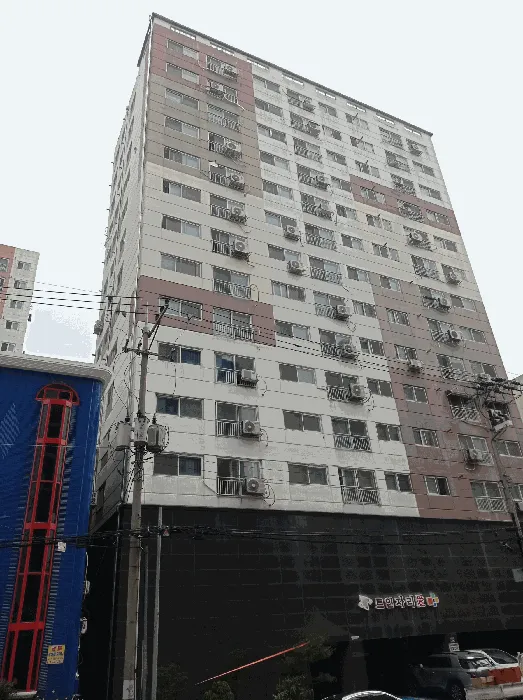 사진 6