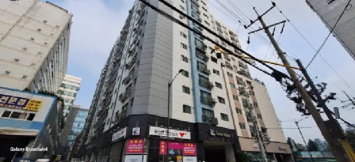 사진 3