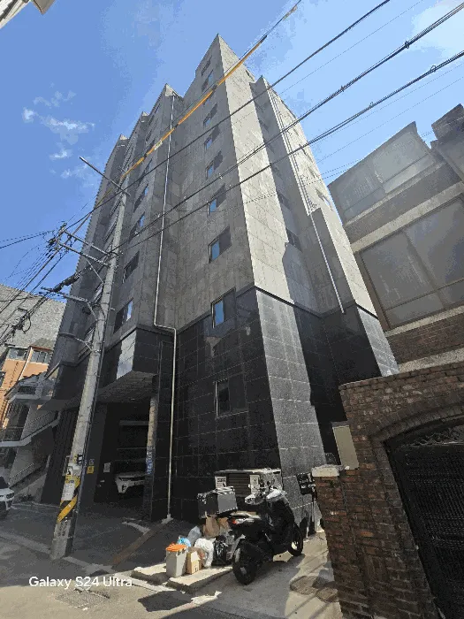 사진 10