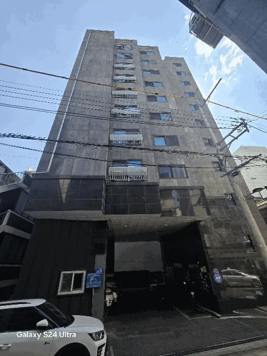 사진 15