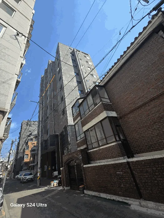 사진 7