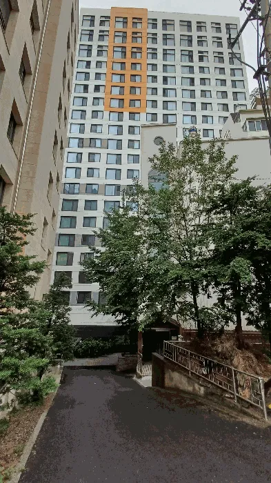 사진 11