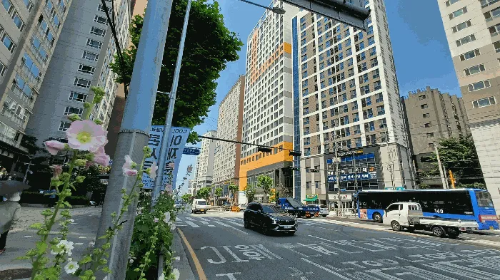 사진 5