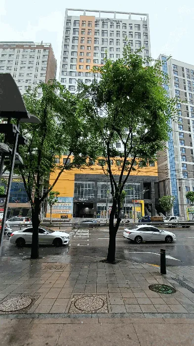 사진 7