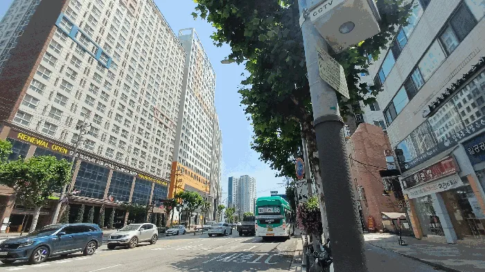 사진 9