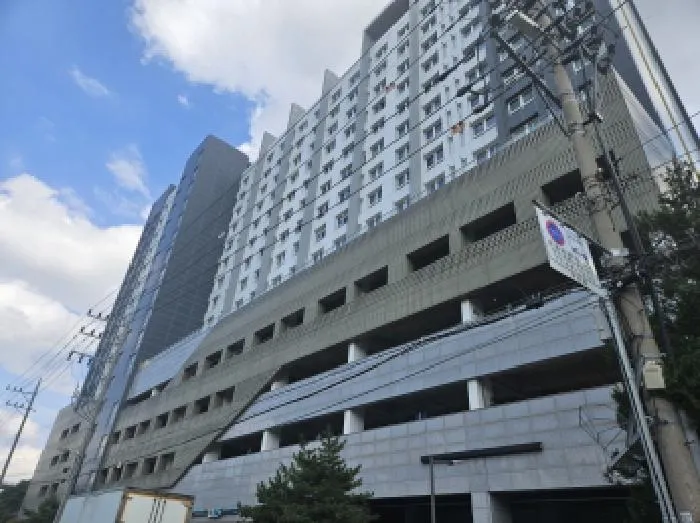 사진 2