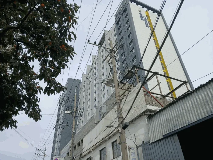 사진 6