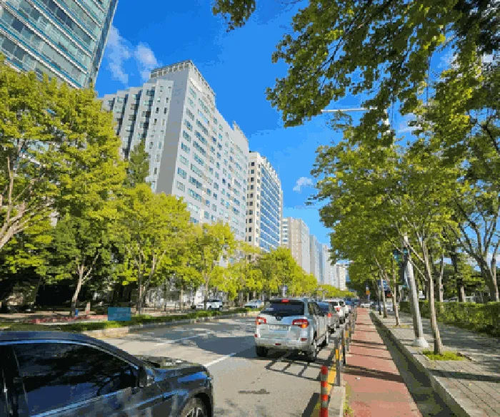 사진 10