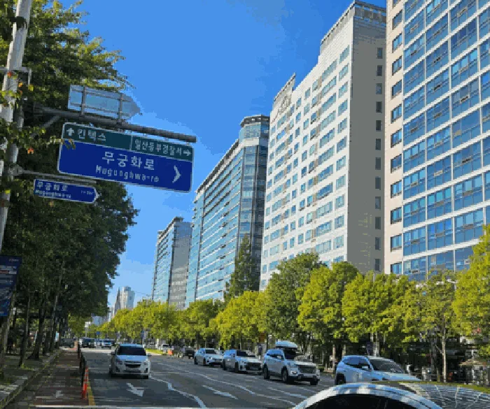사진 13