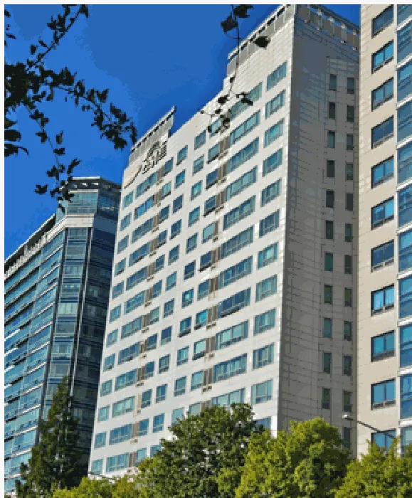 사진 8