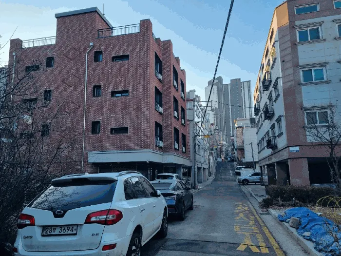 사진 24