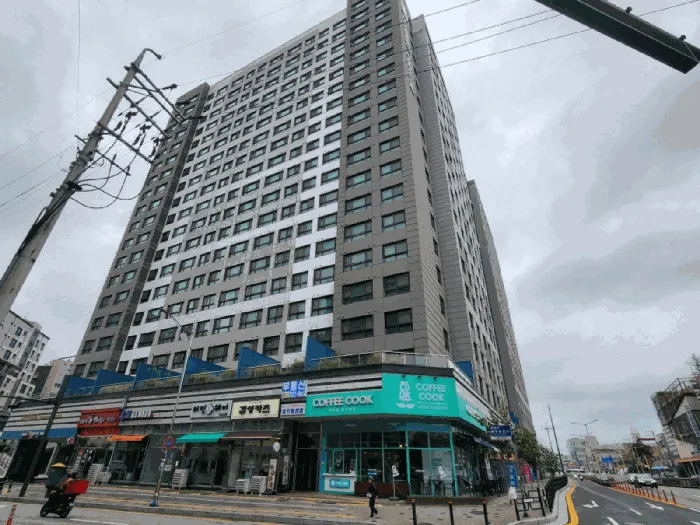 사진 12