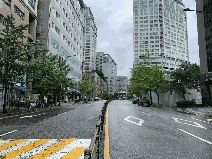 사진 11