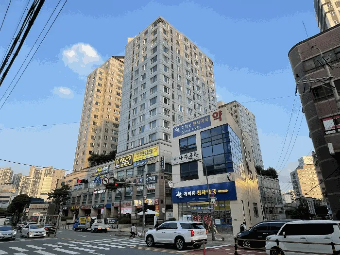 사진 5