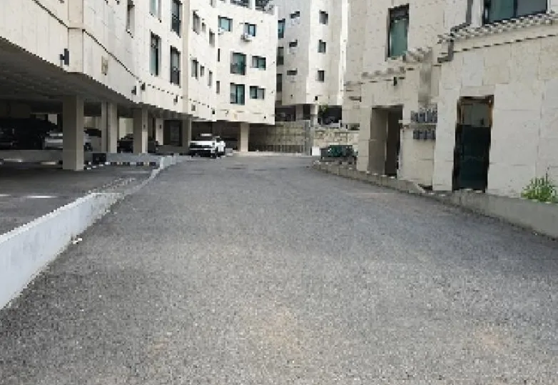 사진 11