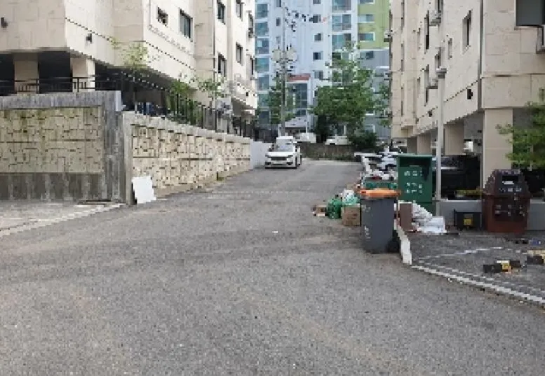 사진 12