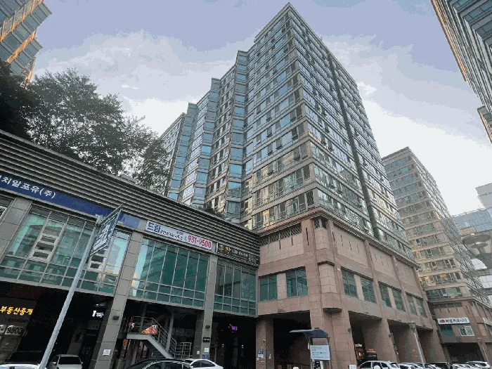 사진 5
