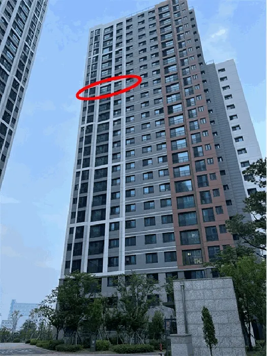 사진 4