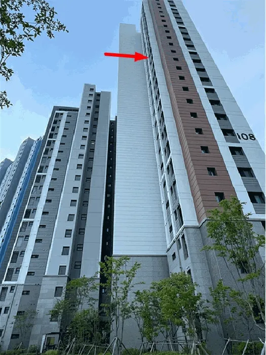 사진 5