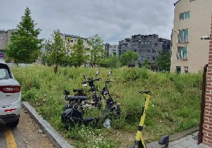 2025타경695