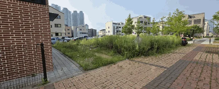 사진 5
