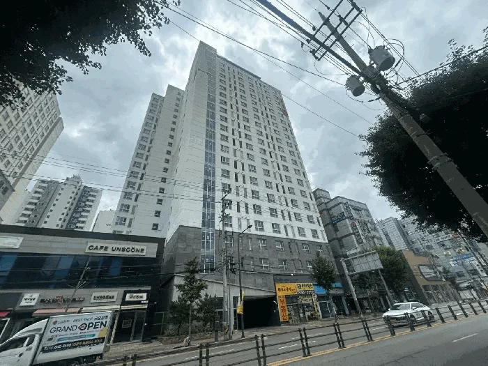 사진 12
